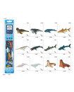 Deep Sea Creatures - 12 pcs.